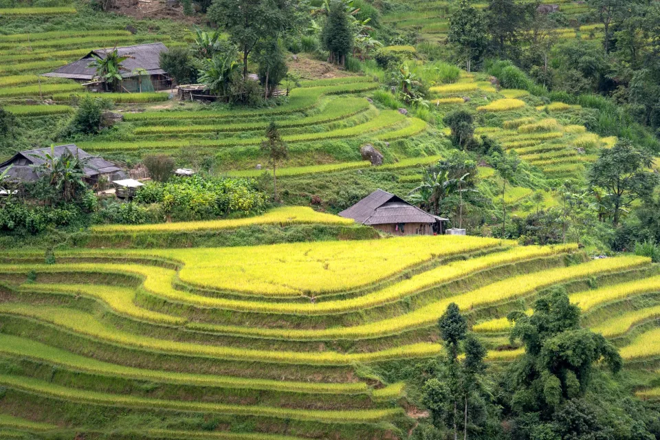 Hình ảnh tại Phan Đợi 5