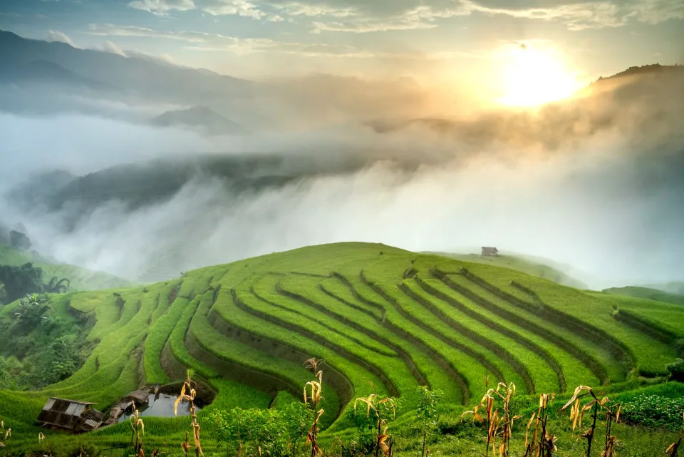 Hình ảnh tại Phan Đợi 2