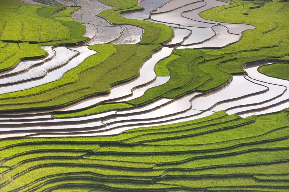 Hình ảnh tại Phan Đợi 6